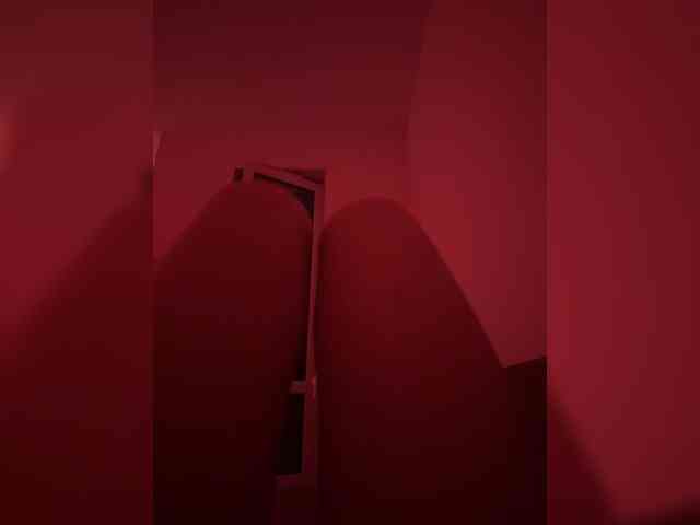Nestyzz webcam