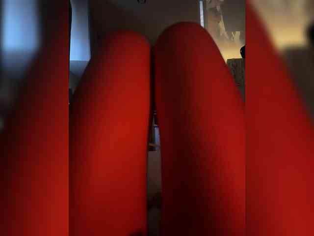 Nestyzz webcam