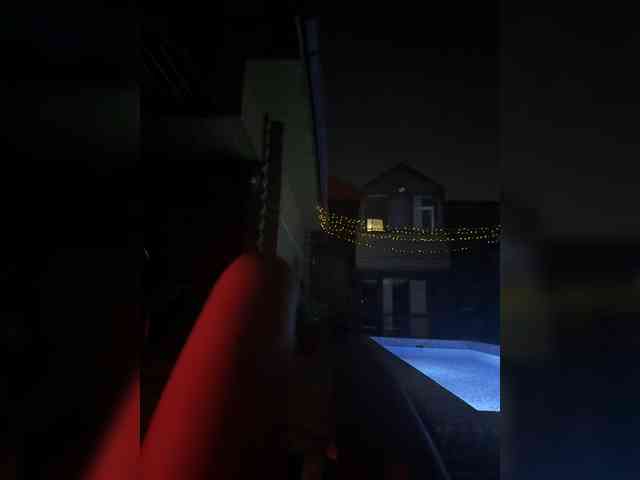 Nestyzz webcam