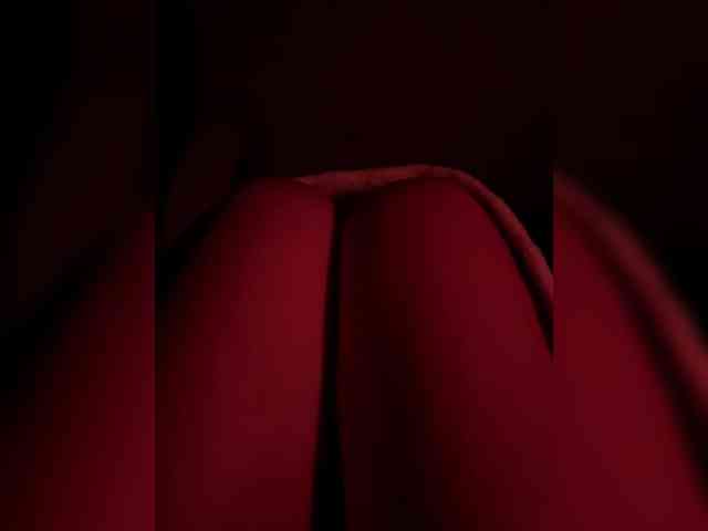Nestyzz webcam