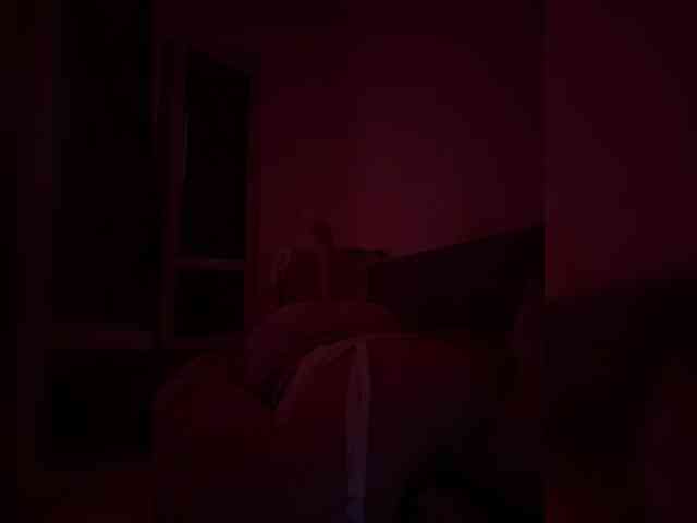 Nestyzz webcam