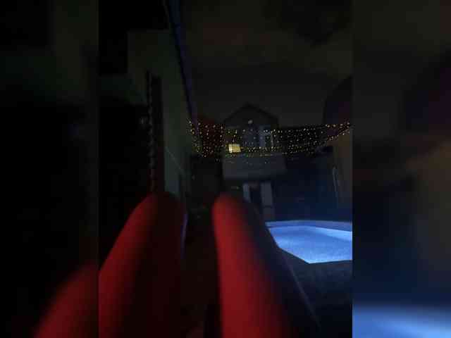 Nestyzz webcam