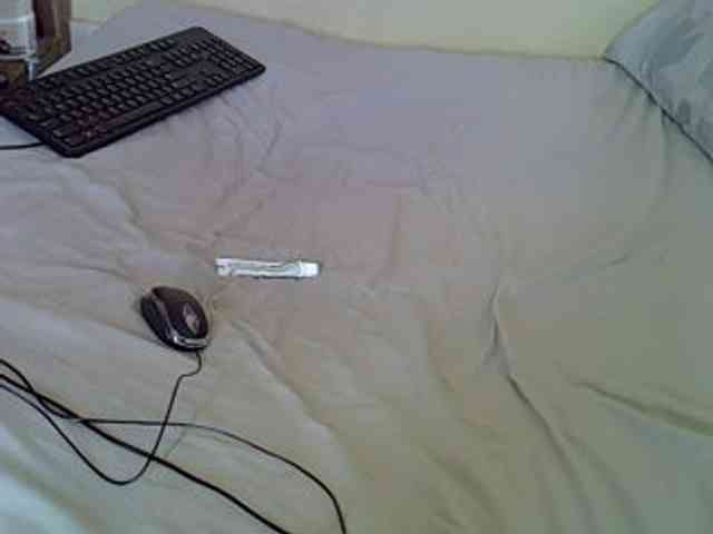 Queenlacey webcam