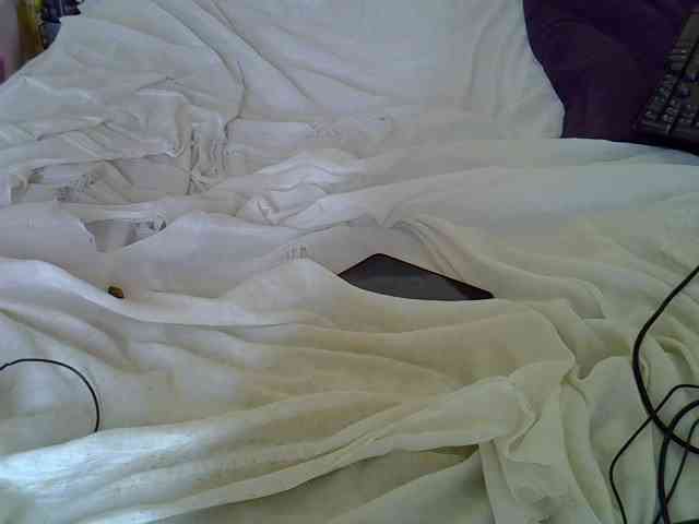 Queenlacey webcam