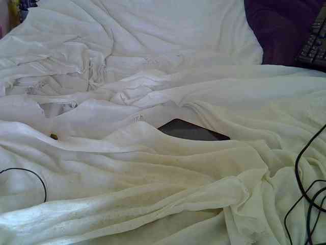 Queenlacey webcam