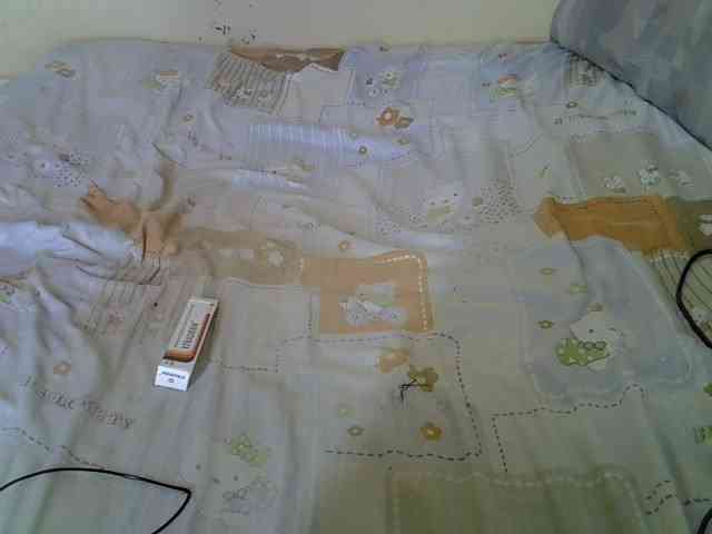Queenlacey webcam