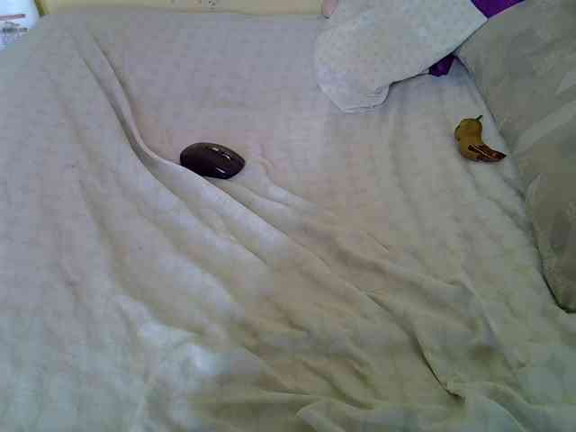 Queenlacey webcam