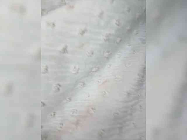 BabyDarii webcam