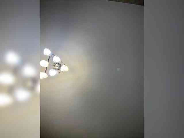 BabyDarii webcam