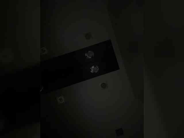 BabyDarii webcam