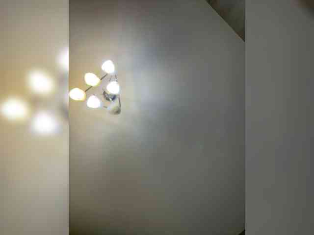 BabyDarii webcam