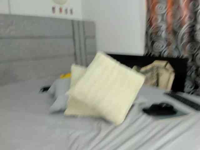 geema webcam