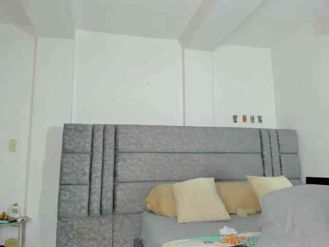 geema webcam