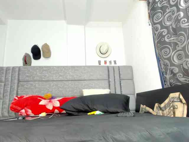 geema webcam