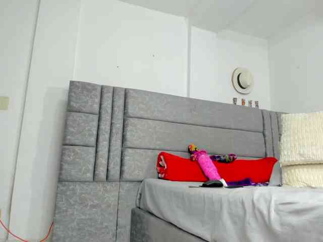 geema webcam