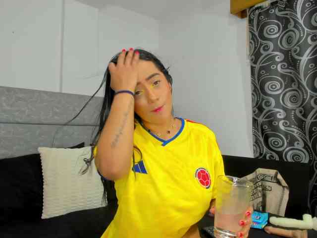 geema webcam