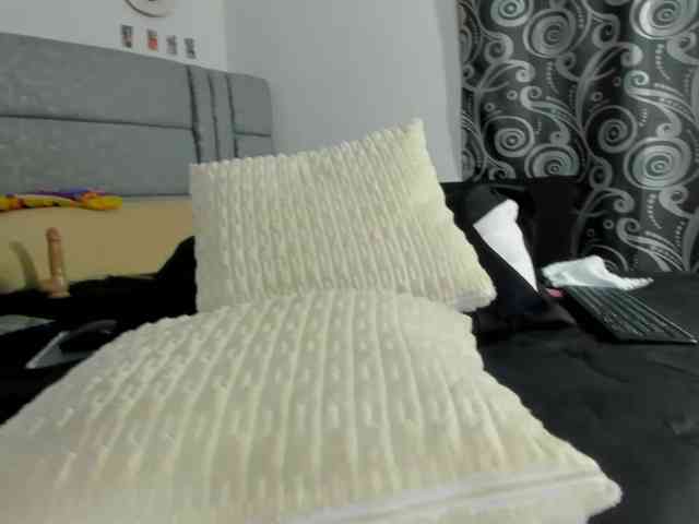 geema webcam