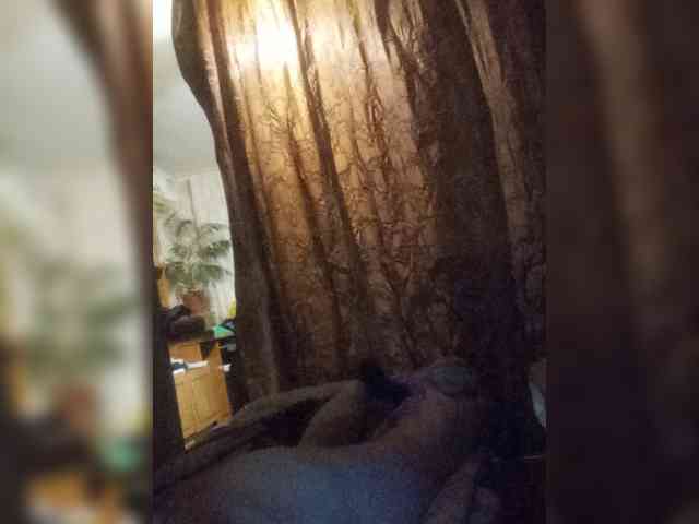 Volodymyr321 Sex Cam Show