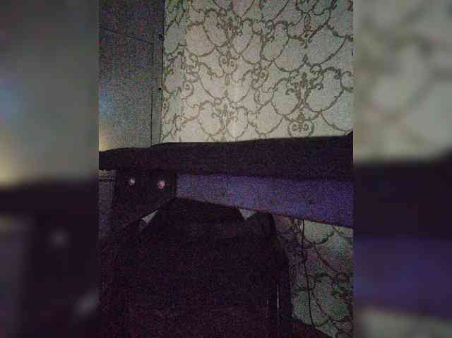 Kisa-malaya webcam