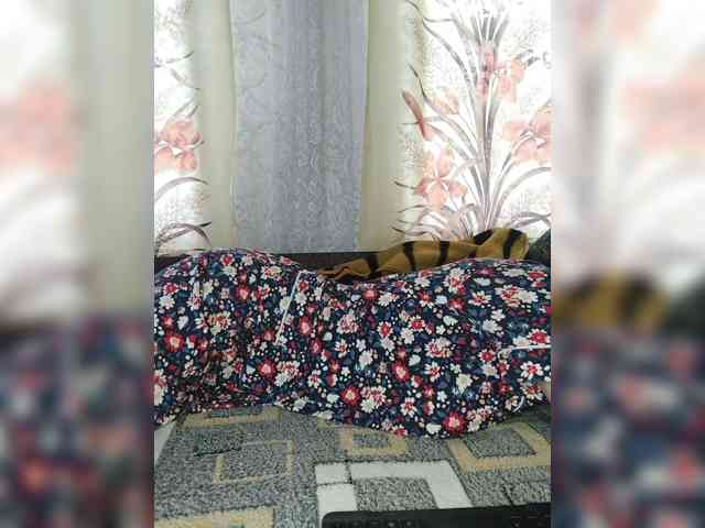 Kisa-malaya webcam