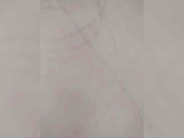 Kisa-malaya webcam