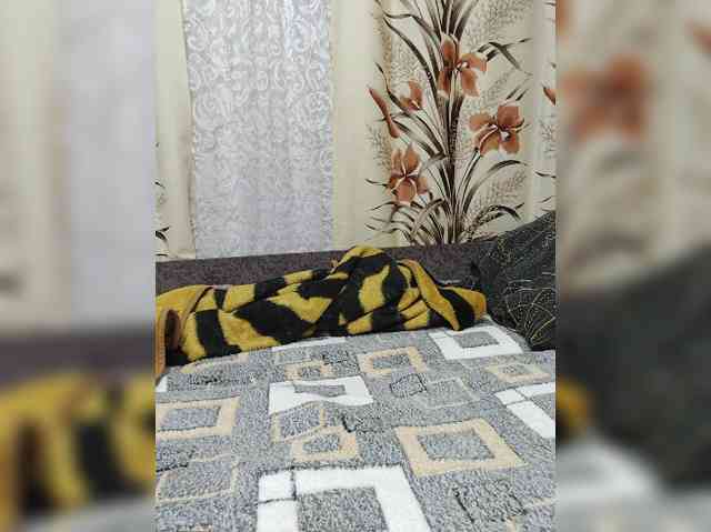 Kisa-malaya webcam