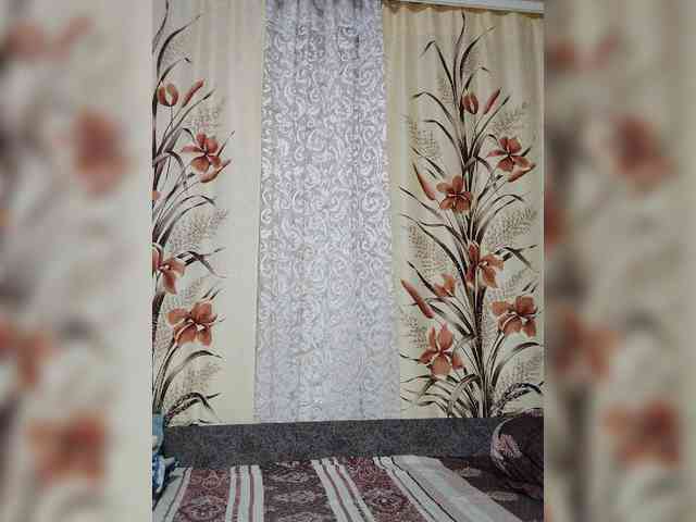 Kisa-malaya webcam