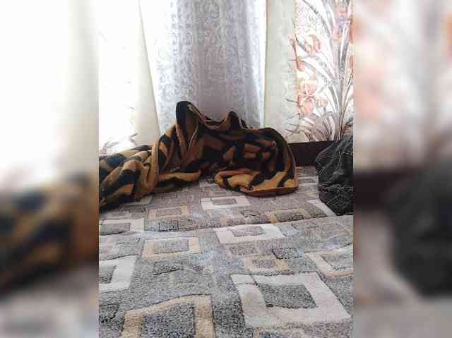 Kisa-malaya webcam