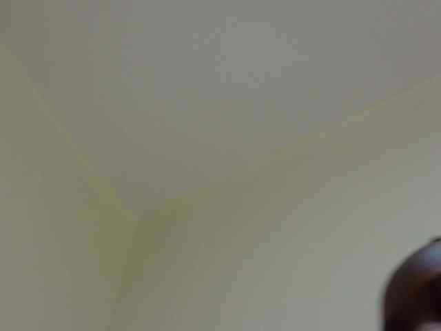 Sweetsonya2 webcam