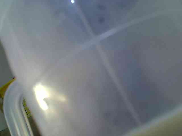 Sweetsonya2 webcam