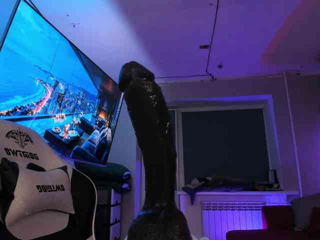 Lissysss webcam