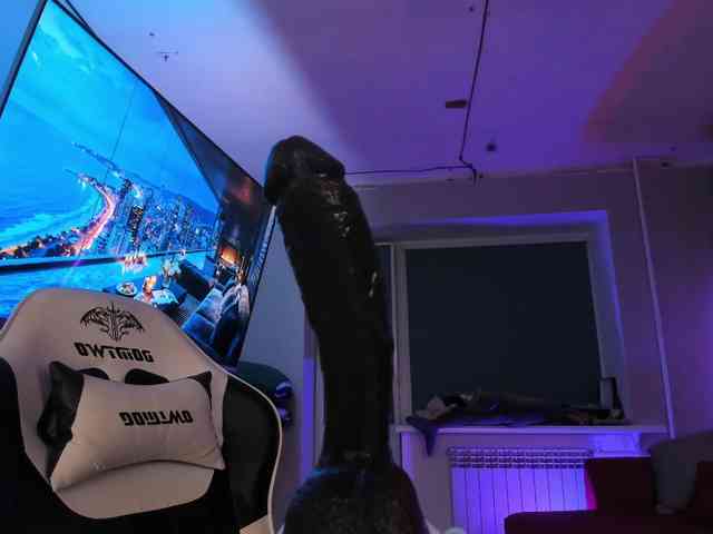 Lissysss webcam