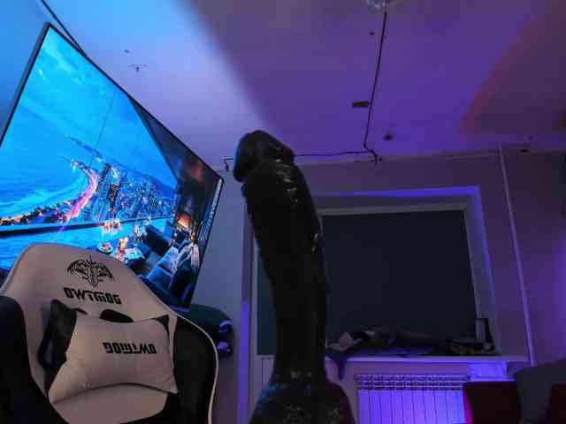 Lissysss webcam