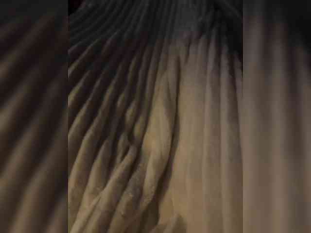 fierynight77 webcam
