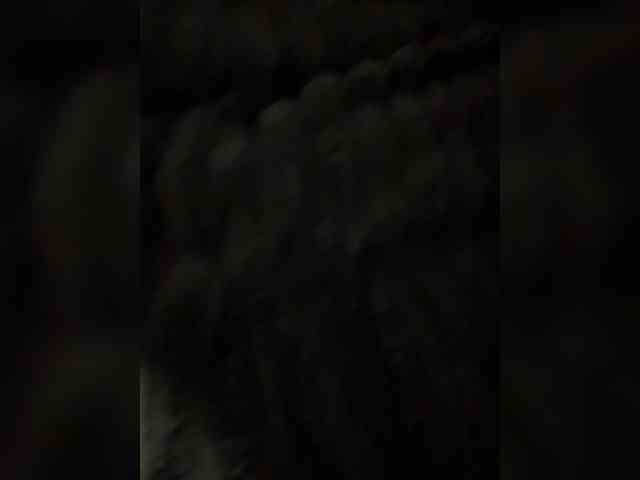 Модель: fierynight77