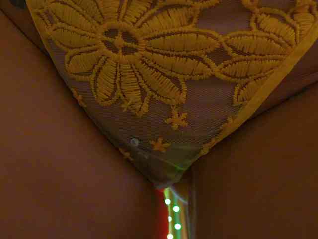 Foxxxy-MILF webcam