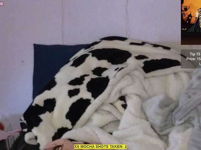 Mocha17 live cam on BongaCams