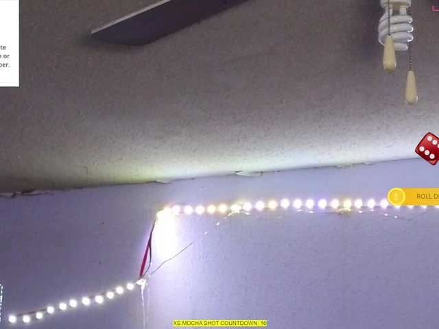 Mocha17 live cam on BongaCams