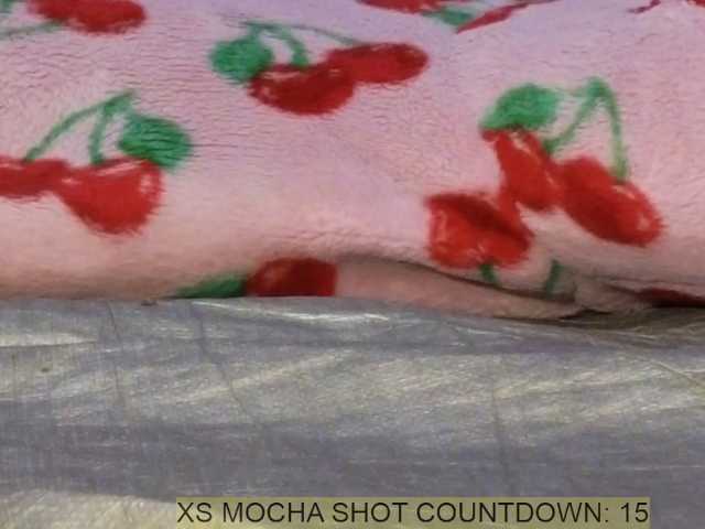 Mocha17