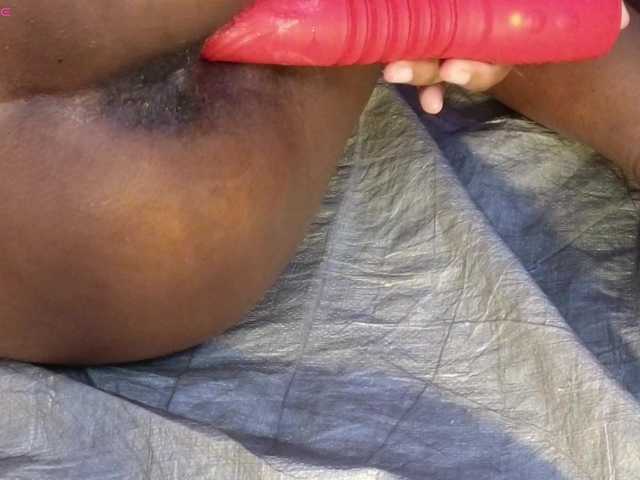Mocha17 live cam on BongaCams