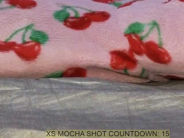 Mocha17 live cam on BongaCams
