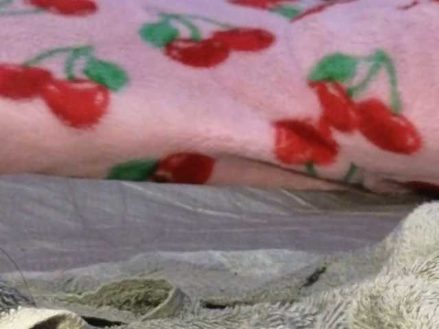 Mocha17 live cam on BongaCams
