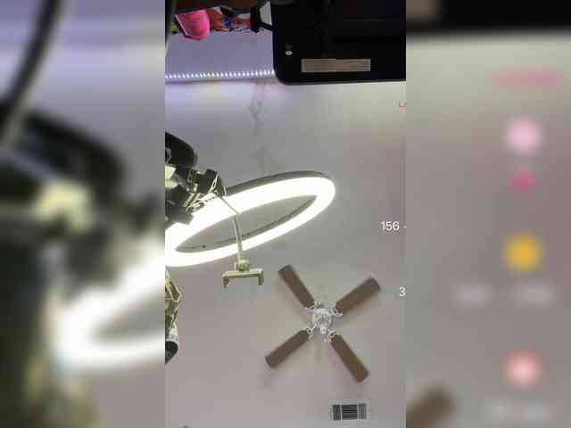 Mocha17 webcam