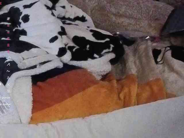 Mocha17 webcam