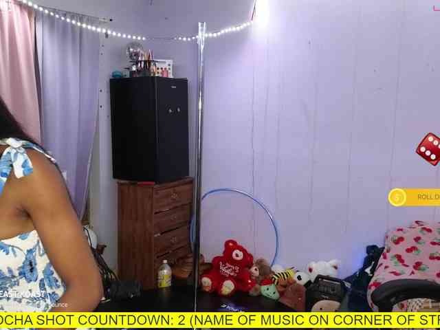 Mocha17 webcam