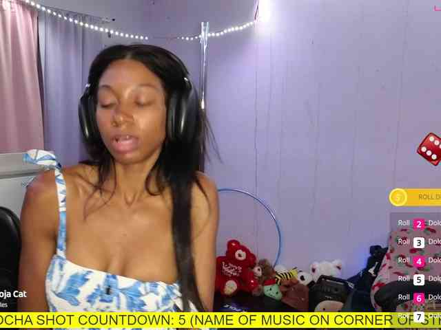 Mocha17 webcam
