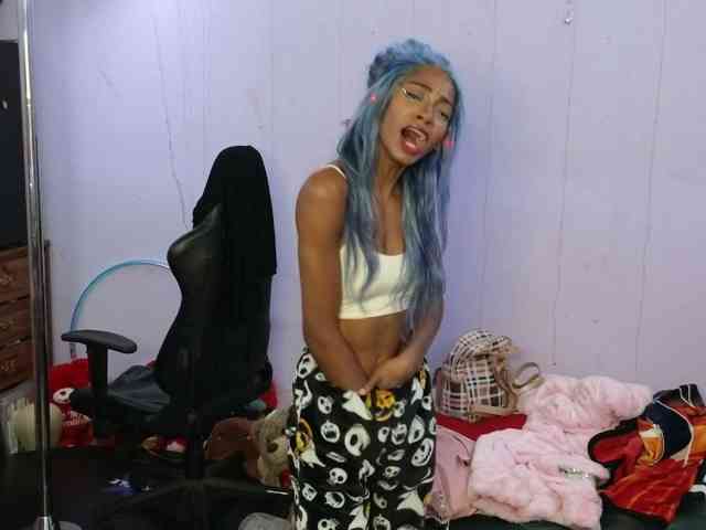 Mocha17 webcam