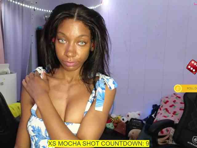 Mocha17 webcam