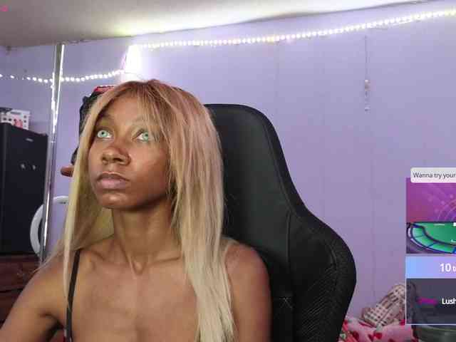 Mocha17 webcam