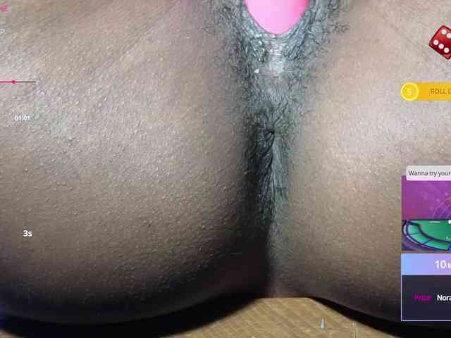 Mocha17 webcam